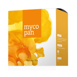 Energy MYCOPAN 90 kapslí