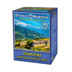 Everest Ayurveda GUDUCHI Zažívání a alkalizace 100 g