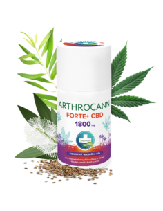 Annabis ARTHROCANN FORTE+ 1800mg CBD 90 ml
