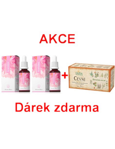 AKCE - 2x Korolen + ZDARMA Cévní čaj