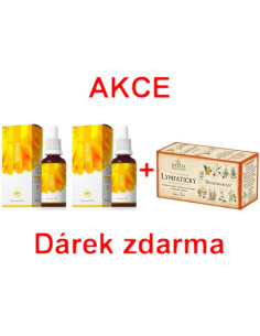 AKCE - 2x Gynex + ZDARMA Lymfatický čaj