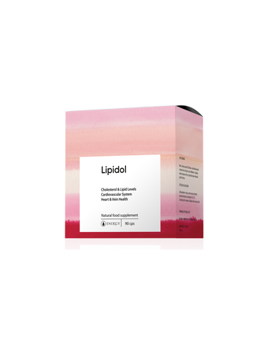 Energy LIPIDOL 90 kapslí