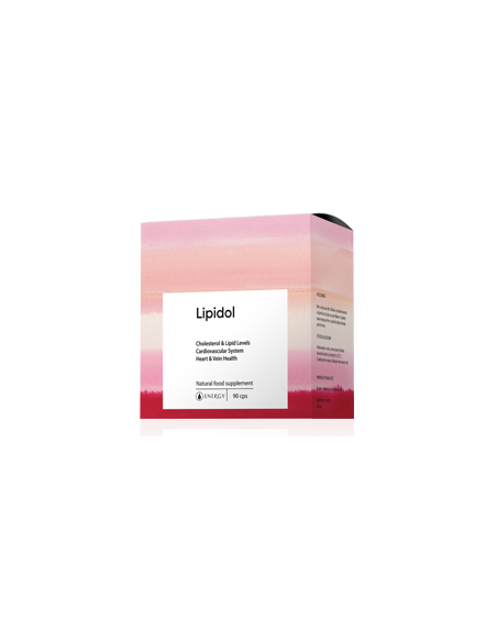 Energy LIPIDOL 90 kapslí