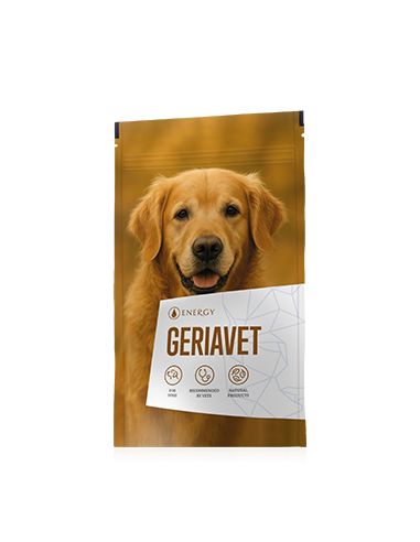 Energy GERIAVET 90 kapslí