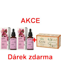 AKCE - 2x Korolen + ZDARMA Cévní čaj