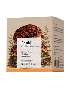 Energy REISHI double extraction 90 ks