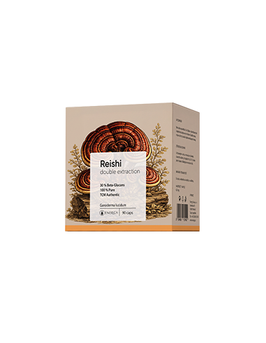 Energy REISHI double extraction 90 ks