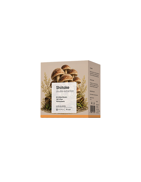 Energy SHIITAKE double extraction 90 ks