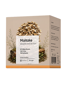 Energy MAITAKE double extraction 90 ks