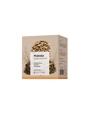 Energy MAITAKE double extraction 90 ks