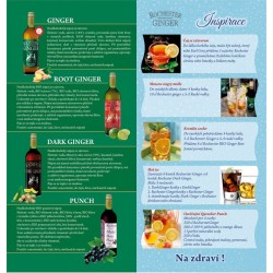 Rochester ROOT GINGER BIO 725 ml 2